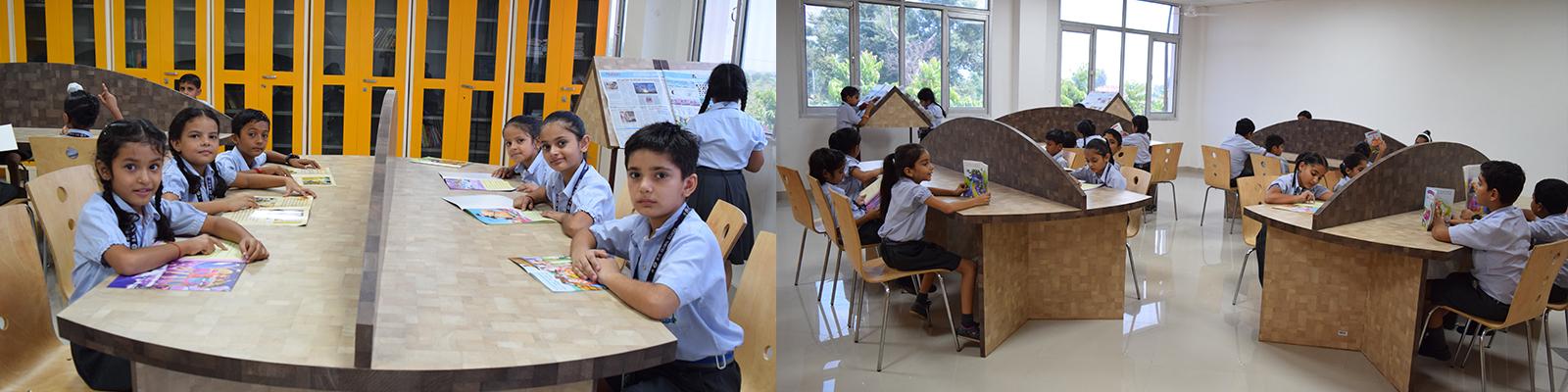 Library Library
